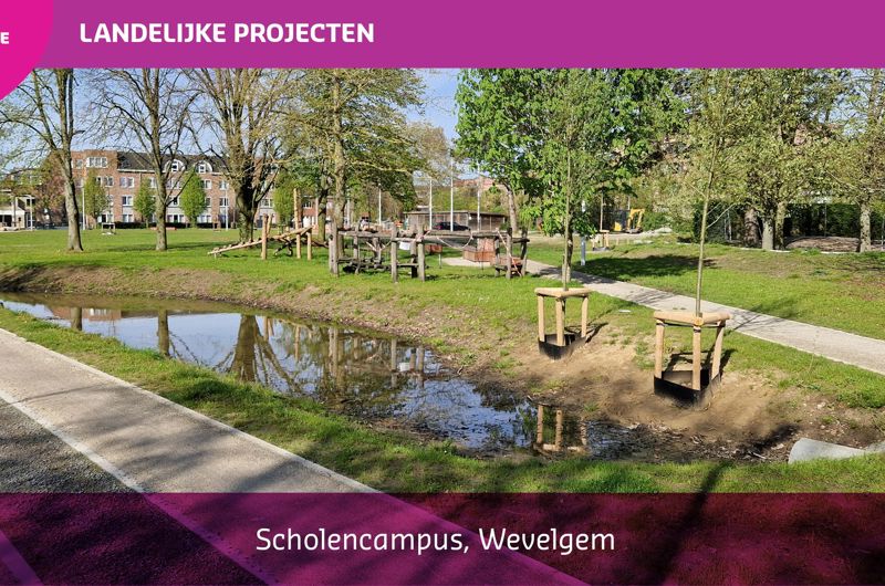 Publieksprijs Wevelgem Scholencampus
